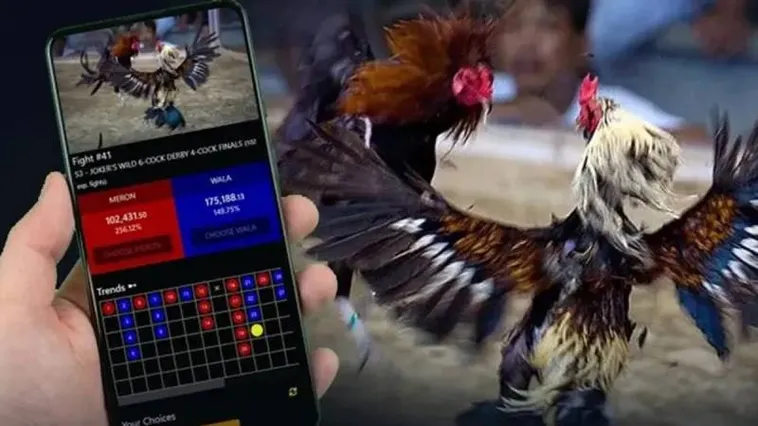 Đá Gà EE88 Đấu Trường Rực Lửa Trải Nghiệm Đỉnh Cao